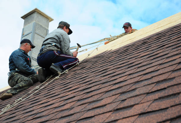 Best Storm Damage Roof Repair  in Winnemucca, NV