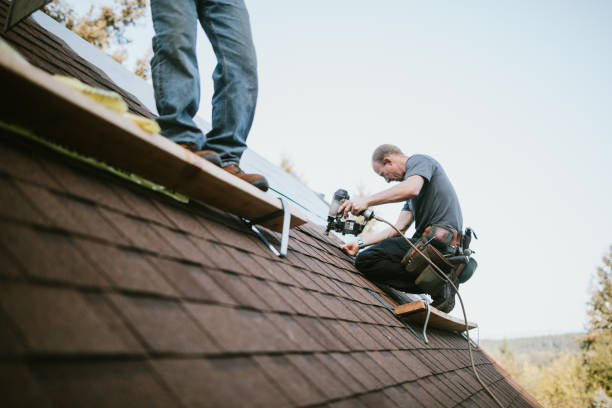 Quick and Trustworthy Emergency Roof Repair Services in Winnemucca, NV